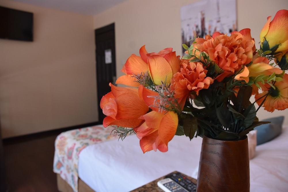 Hotel Casa Colon San José Exteriör bild